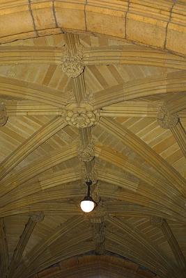 CRW_5227.jpg