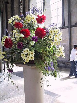 IMG_5439.jpg