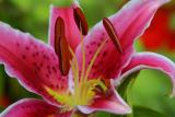 CRW_5165.jpg