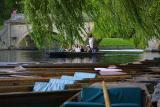 CRW_5168.jpg