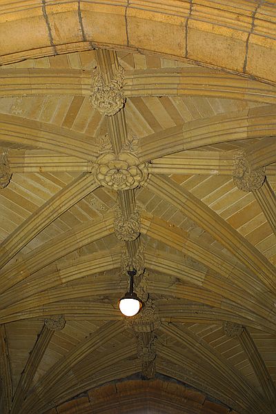 CRW_5227.jpg