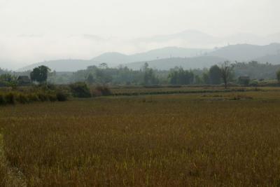 Mist in the mountains