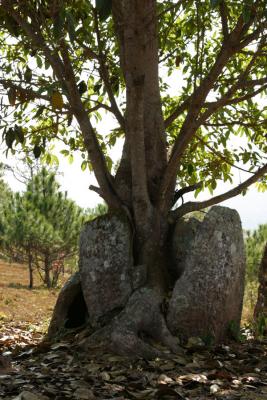 Phonsavan - Plain of Jars