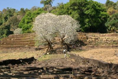 Wat Phu