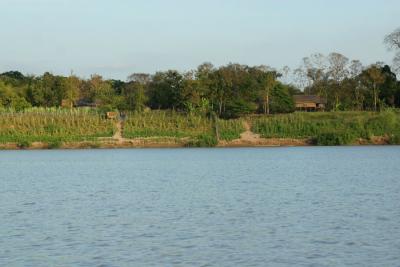 Along the Mekong