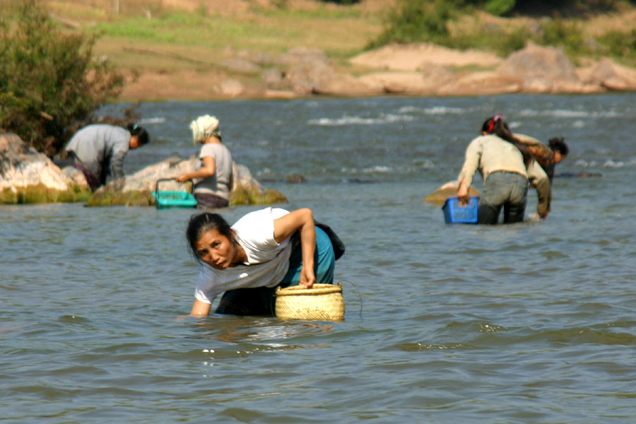 Gathering river weed