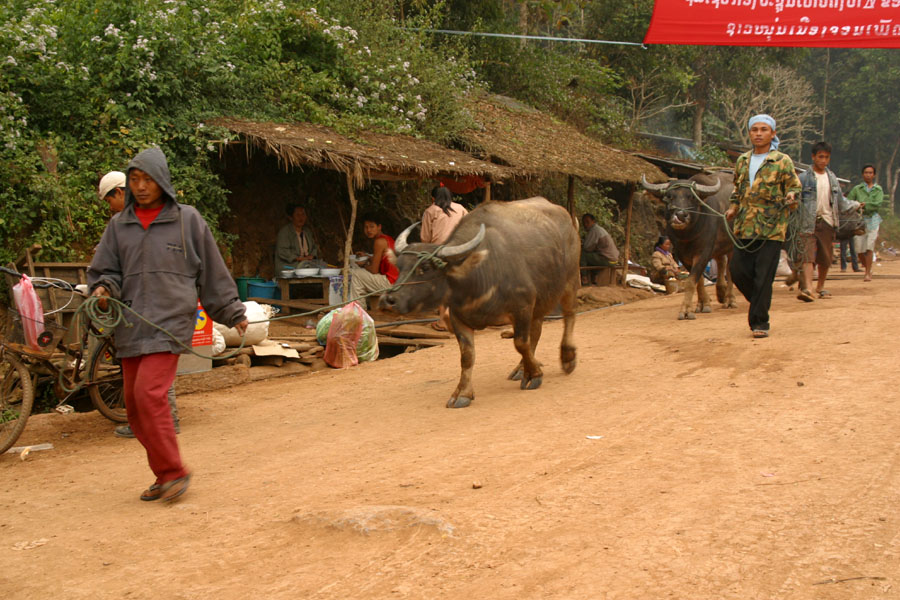 Rural life