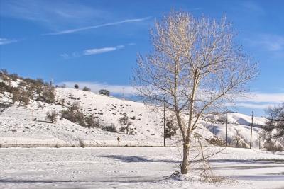 Snow in Lebec