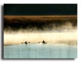 Kayaks in the Mist, Oxbow Bend, the Tetons