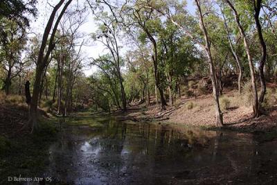 Bandhavgarh Entrance.jpg