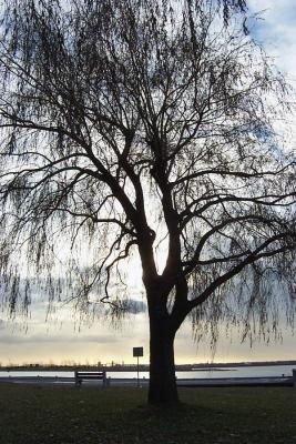 u13/decormoi/medium/42576097.DCP_0717www.jpg