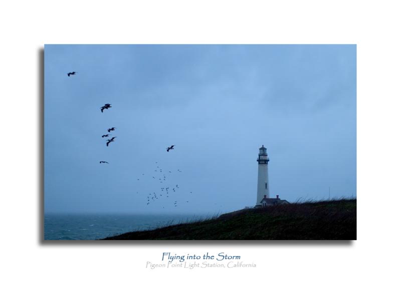 Flying into the Storm