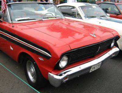 Falcon at the Street Fair