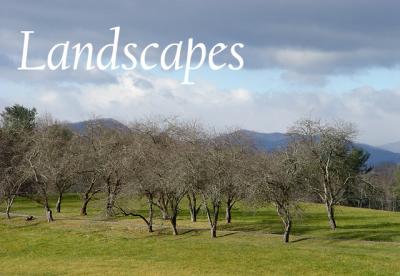 Landscapes