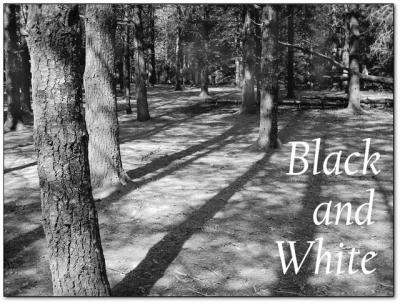 Black and White