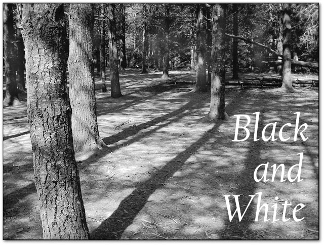 Black and White
