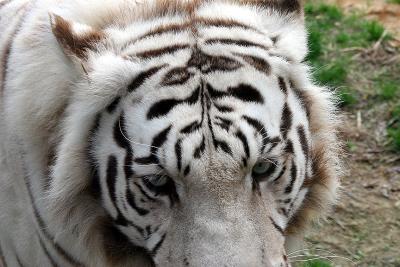 IMG_4183_2.jpg