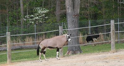 IMG_4206_2.jpg