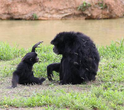 This big, Mom