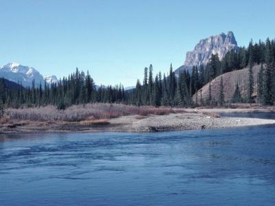 Castle Mountain.jpg