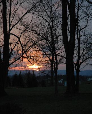 u13/donna_lear/medium/38620088.SunsetJan13v2.jpg