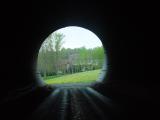 Tunnel Vision Spring