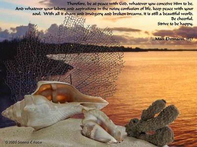u13/donnar/medium/41689307.DesiderataPage6.jpg