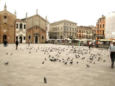 Piazza in front of the Basilica di Sant' Antonio: This piazza is home to lots of pigeons.