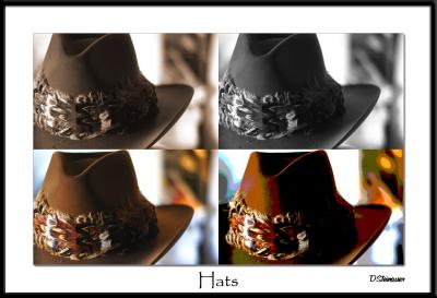 1/8/05 - Hats Off