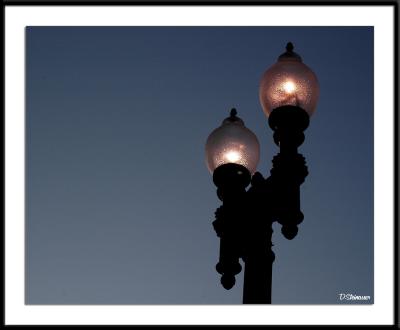 ds20050404a_0026awF Street Lamp.jpg