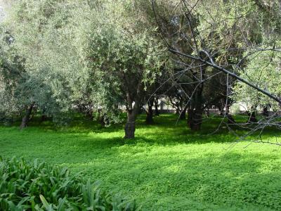 Carmelite Monastery