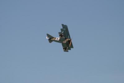 u13/dtrust/medium/19950884.Triplane.jpg