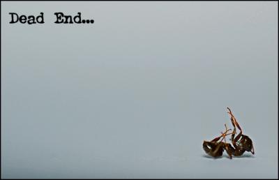 Dead End