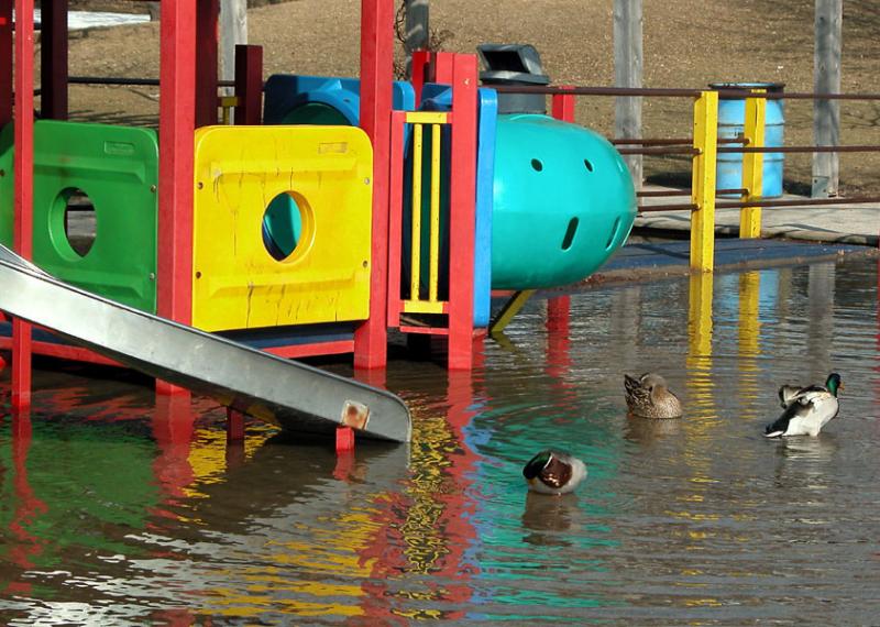 Duck Slide Sarnia Ontario