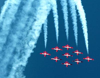 Snowbirds - Over the Top