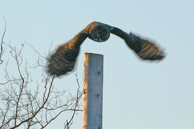 Taking off