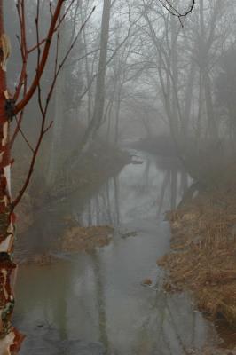 1/12/05 - Foggy Morning