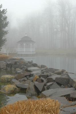 1/12/05 - Foggy Morning