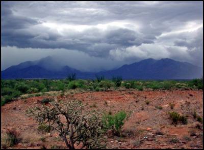 Santa Ritas in Monsoon