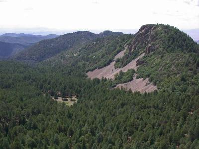 Scree Slope Habitat of the Twin-spotted Rattlesnake