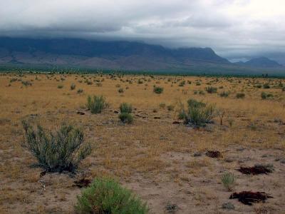 Chiricahuas in Monsoon...