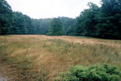Vernalis Habitat