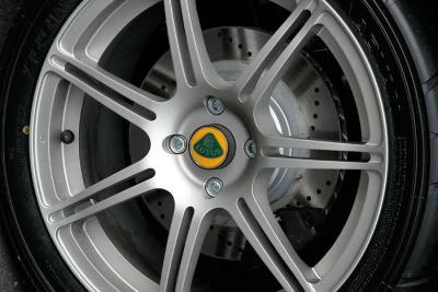 u13/edhahn/medium/38671432.Elise04.jpg