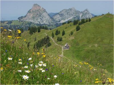Beautiful Mt. Mythen (Switzerland)