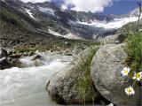 Winterberg, Dammagletscher, Gscheneralp (Uri)