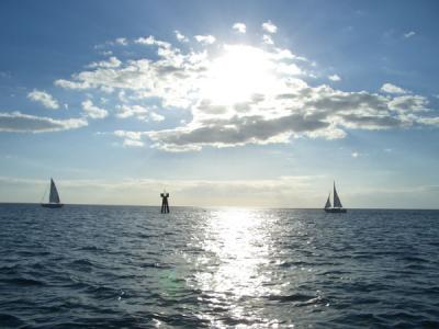 u13/edoyle/medium/38617929.Sailboatsandsun.jpg