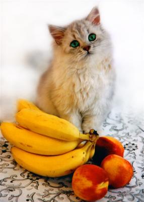 I was never in size of banana... I am The Kitty !!!!