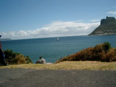 Cape peninsula drive