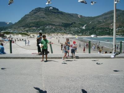 feeding the birds...