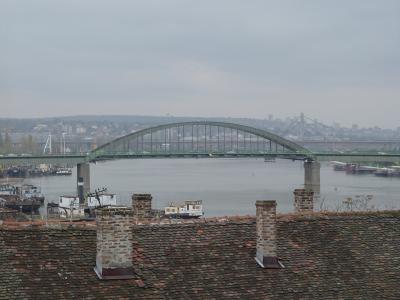 Bridges on the Sava river